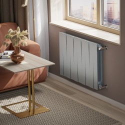 Дизайн-радиатор бимет. Royal Thermo PianoForte Silver Satin 500 x 100 - 10 секц.