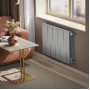 Дизайн-радиатор бимет. Royal Thermo PianoForte Silver Satin 500 x 100 - 10 секц.