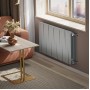 Дизайн-радиатор бимет. Royal Thermo PianoForte Silver Satin 500 x 100- 12 секц.