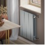 Дизайн-радиатор бимет. Royal Thermo PianoForte Silver Satin 500 x 100 - 6 секц.
