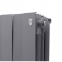 Дизайн-радиатор бимет. Royal Thermo PianoForte Silver Satin 500 x 100 - 4 секц.